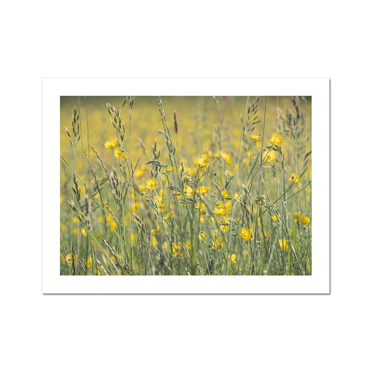"The Long Grass" Fine Art Print