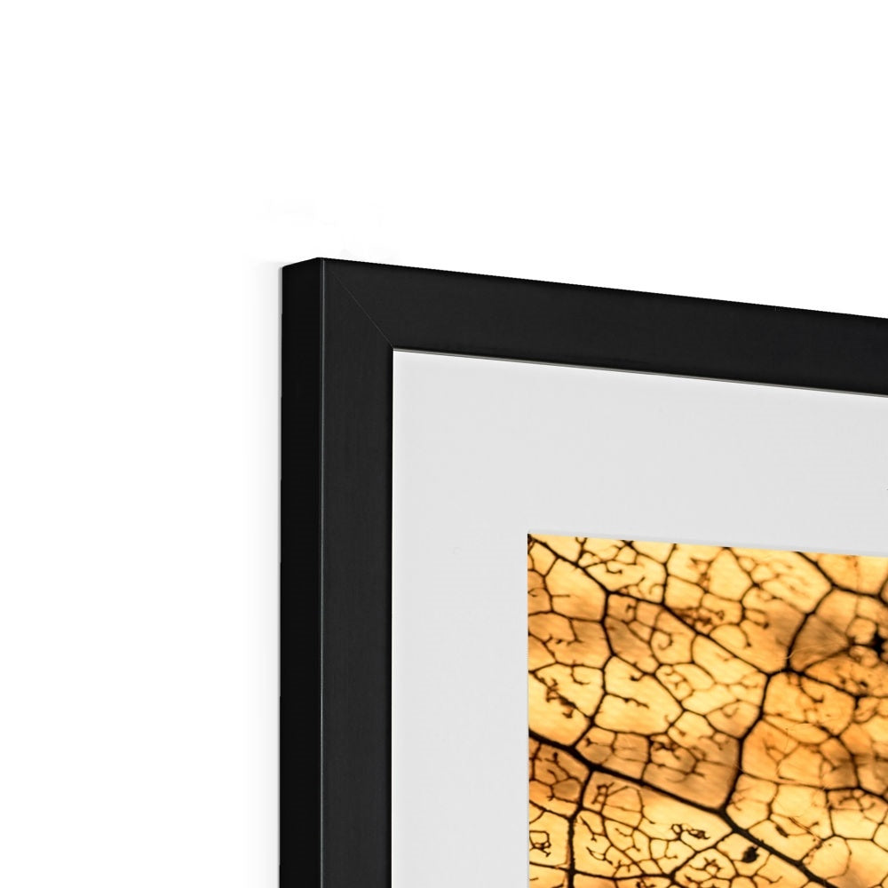 " Leaf upon Leaf " Framed & Mounted Print