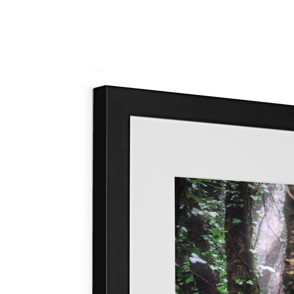 " Misty Trees #1 " Framed & Mounted Print