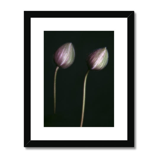 "The Bowed" Framed & Mounted Print