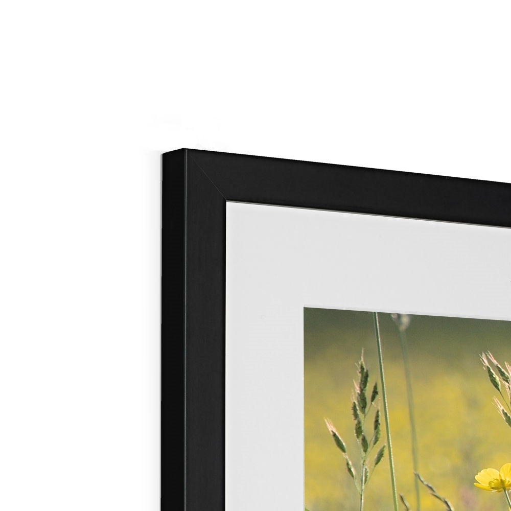 "The Long Grass" Framed & Mounted Print