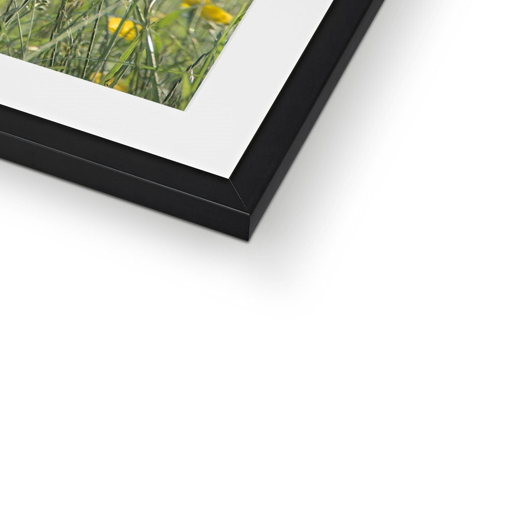 "The Long Grass" Framed & Mounted Print