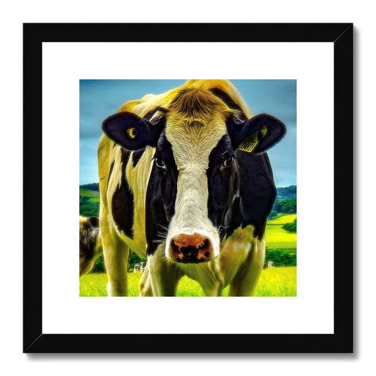 "Silly Cow - Photo Art" Framed & Mounted Print
