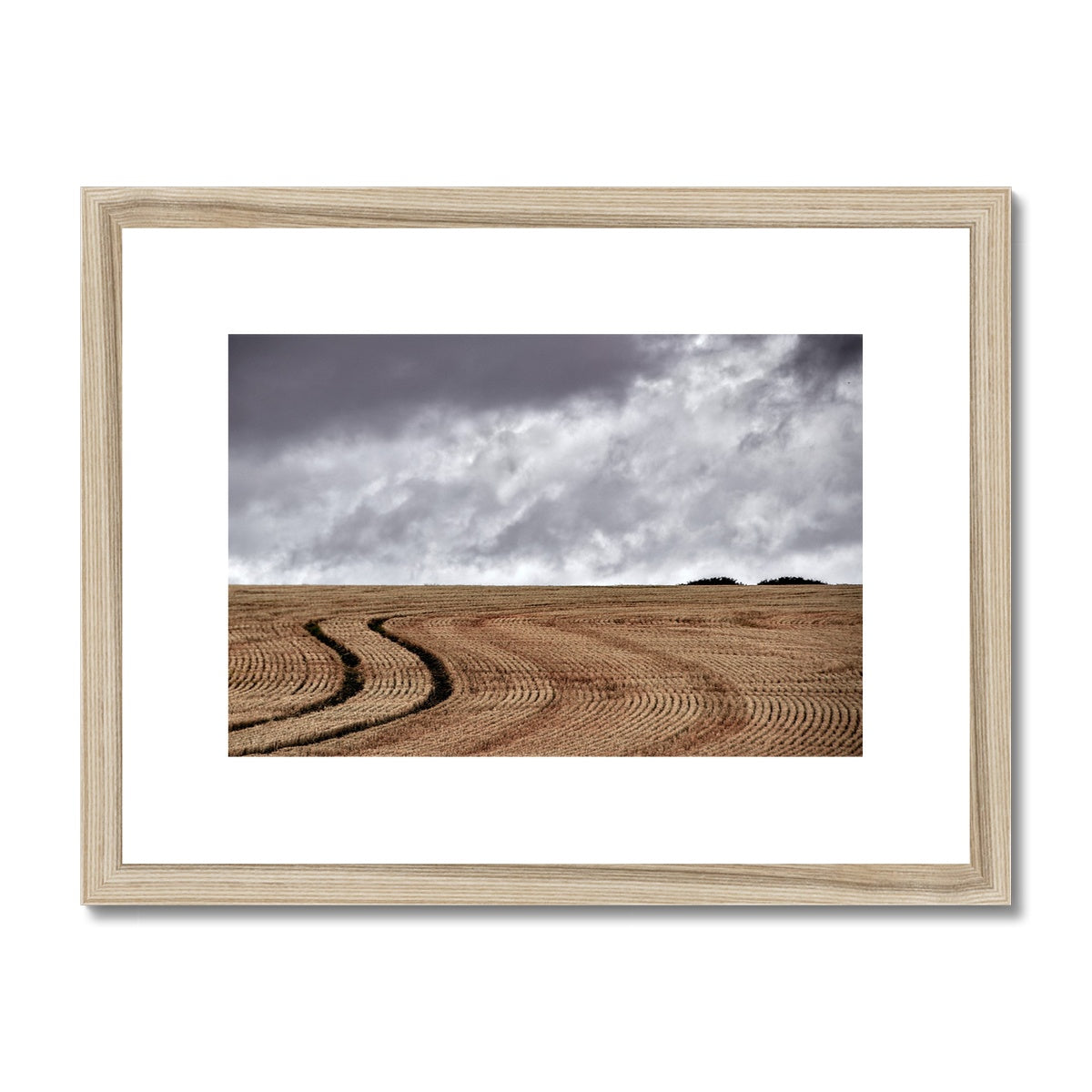 " Tracks " Framed & Mounted Print