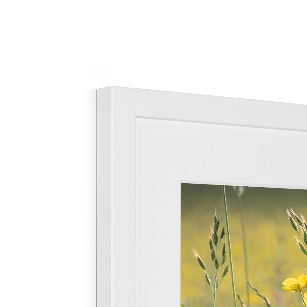 "The Long Grass" Framed & Mounted Print
