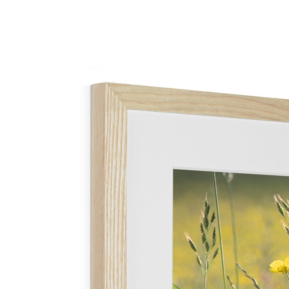 "The Long Grass" Framed & Mounted Print
