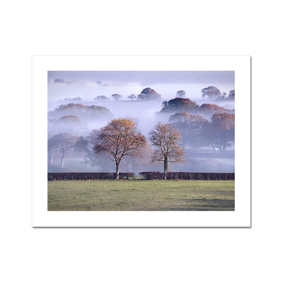 "Dorset Mist" Fine Art Print