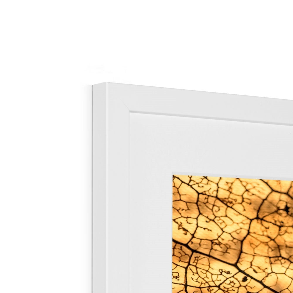 " Leaf upon Leaf " Framed & Mounted Print