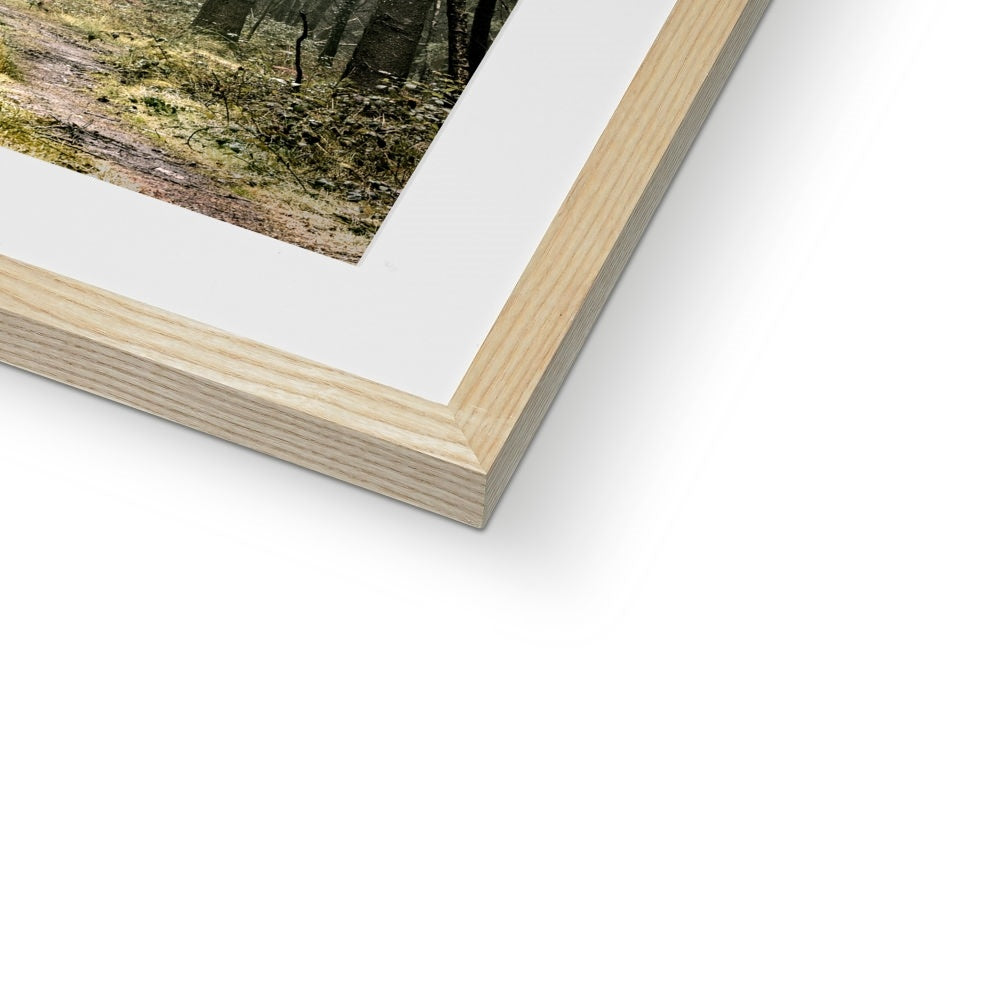 "Wetlands" Framed & Mounted Print