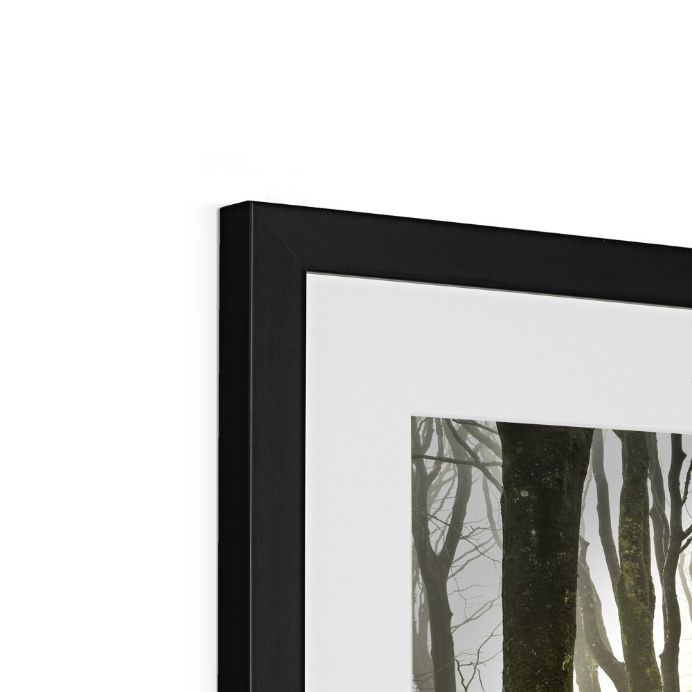 " Misty Trees #2 " Framed & Mounted Print