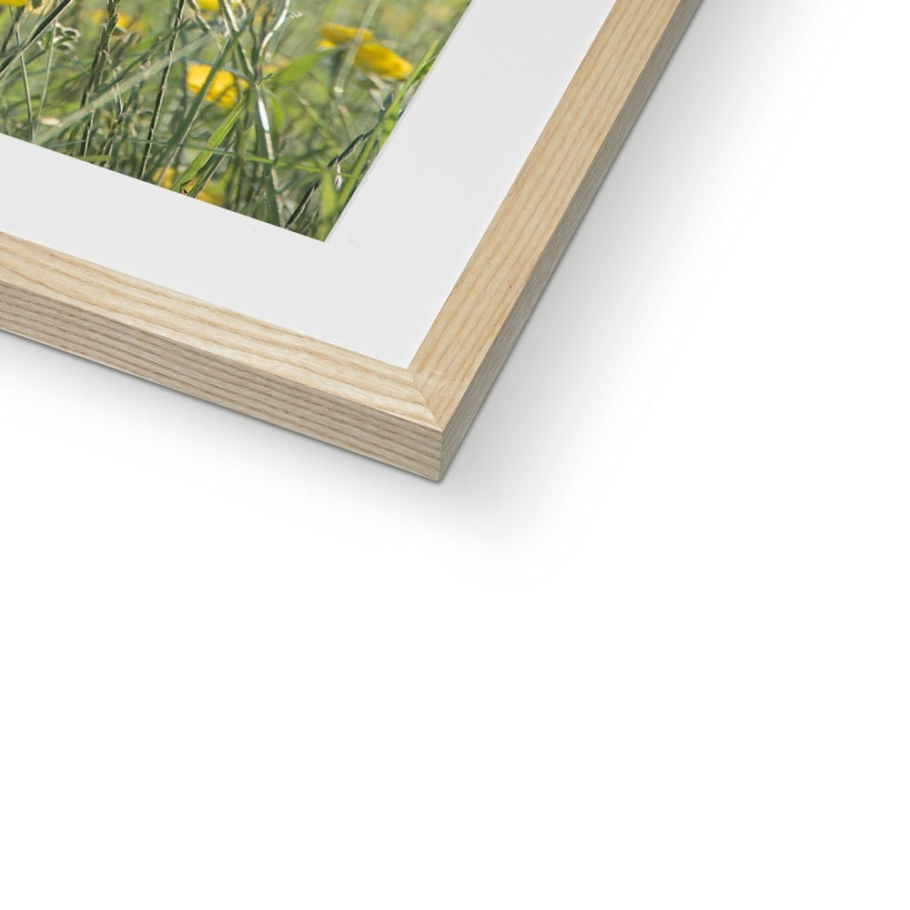 "The Long Grass" Framed & Mounted Print