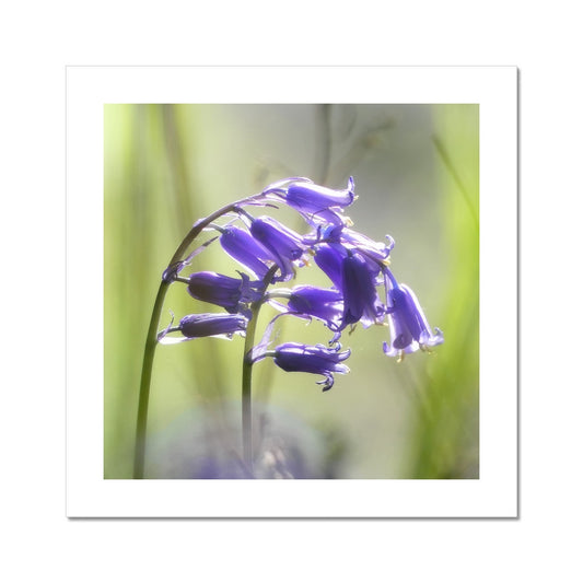 "The Bells" Fine Art Print
