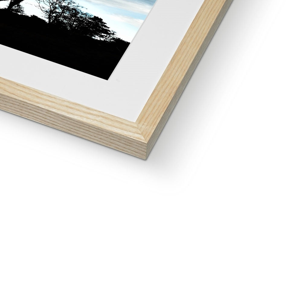 "Marching Trees" Framed & Mounted Print