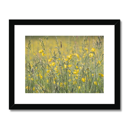 "The Long Grass" Framed & Mounted Print