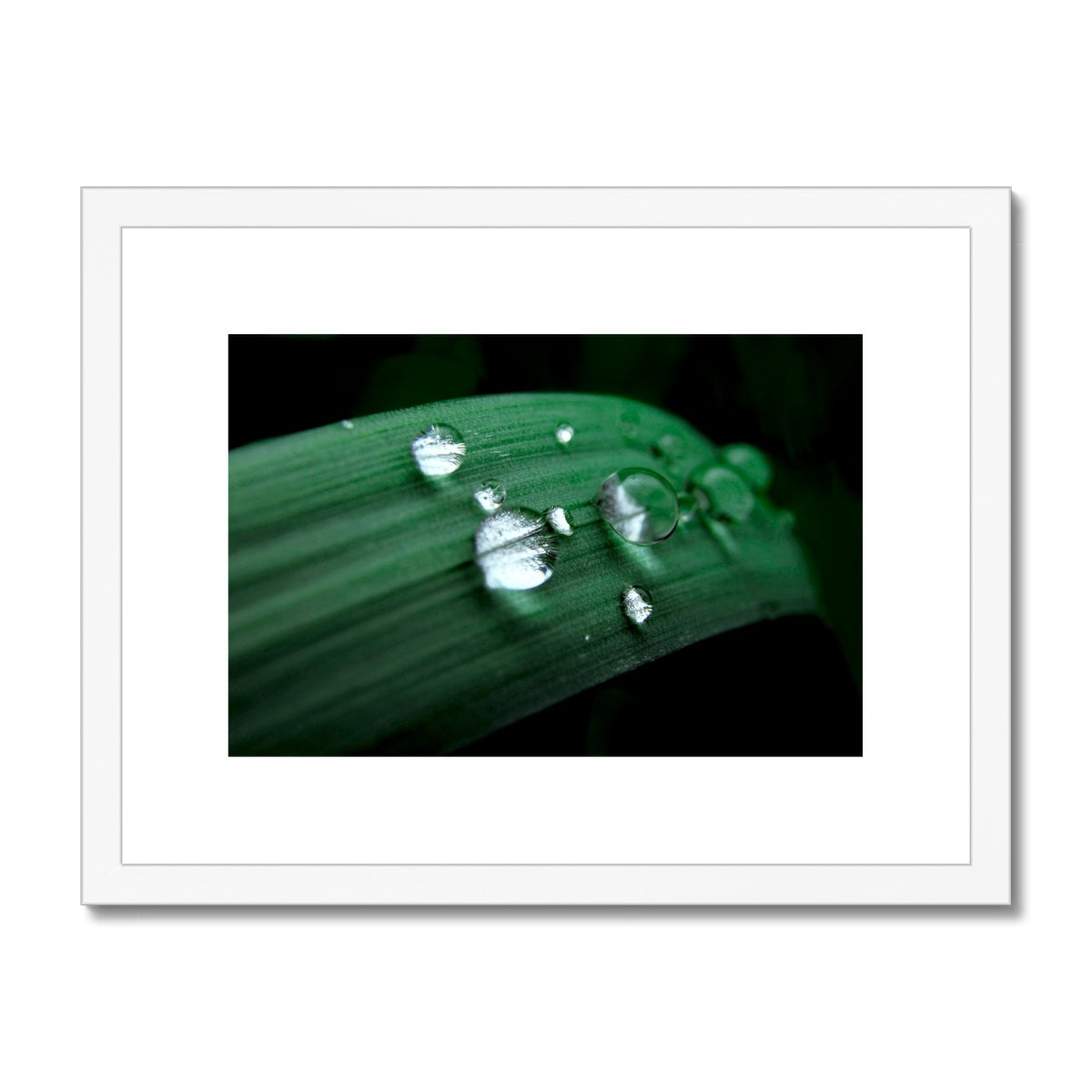 "The Blade Runners" Framed & Mounted Print