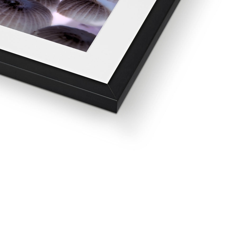 "Shroom Disco" Framed & Mounted Print