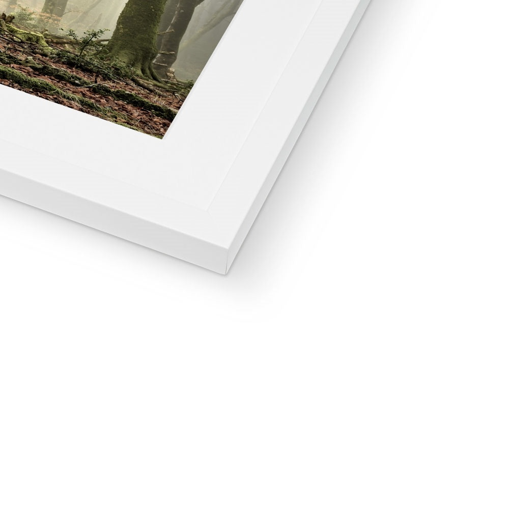 " Misty Trees #2 " Framed & Mounted Print