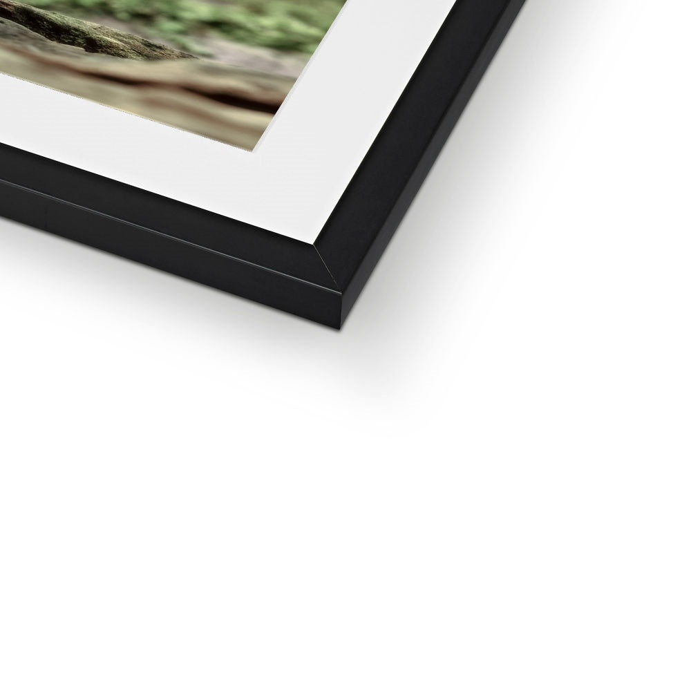 "Family Portrait" Framed & Mounted Print