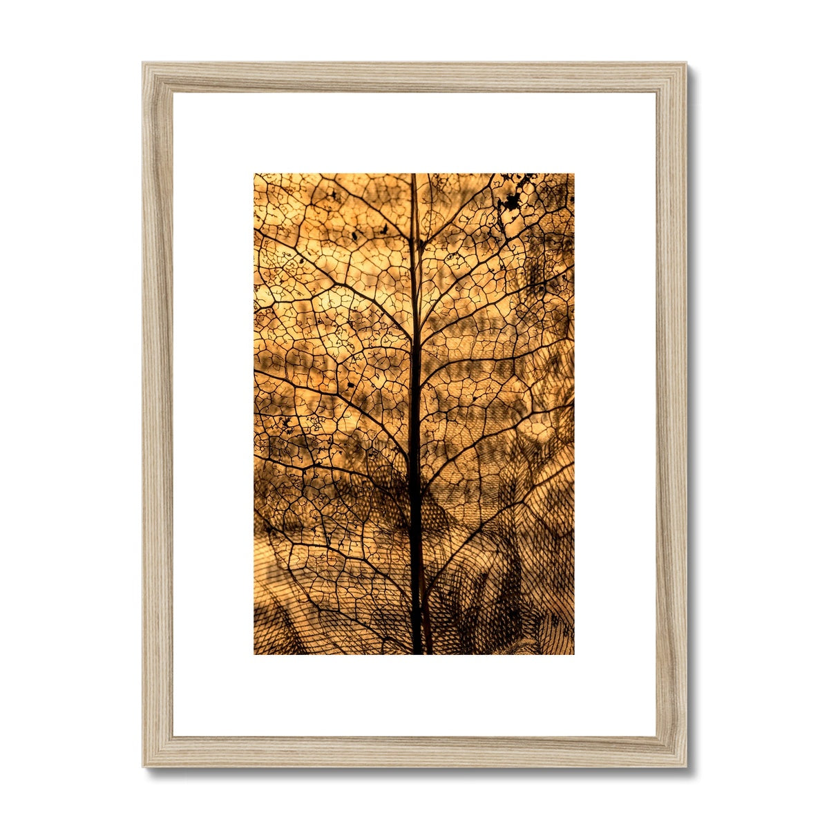 " Leaf upon Leaf " Framed & Mounted Print