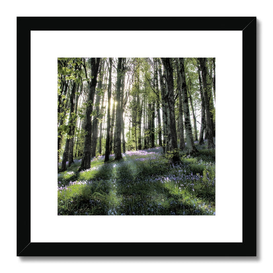 "Bella's Wood" Framed & Mounted Print