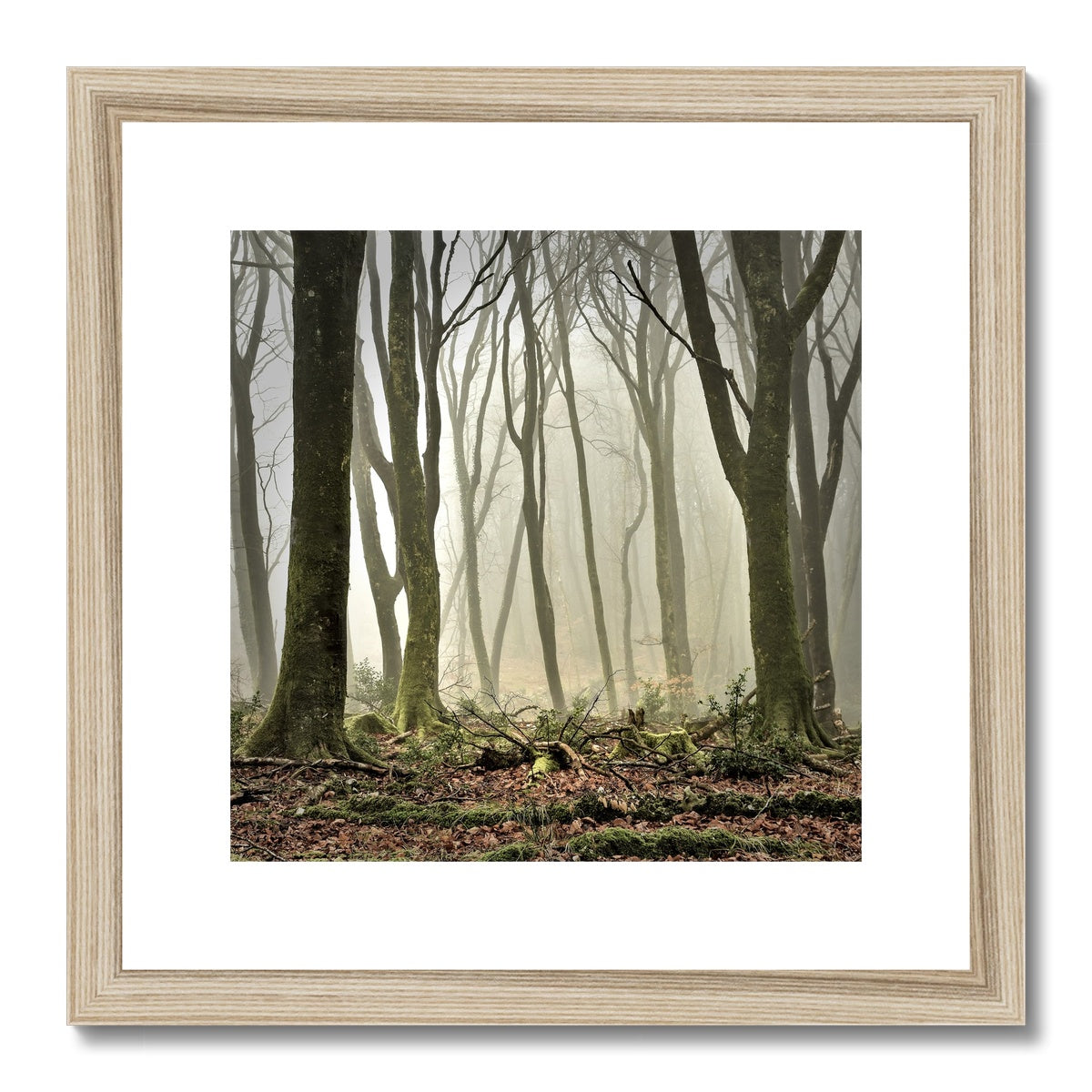 " Misty Trees #2 " Framed & Mounted Print