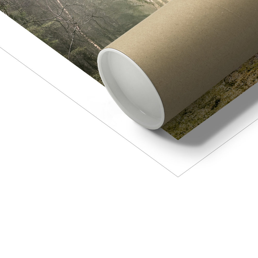 "Wetlands" Fine Art Print
