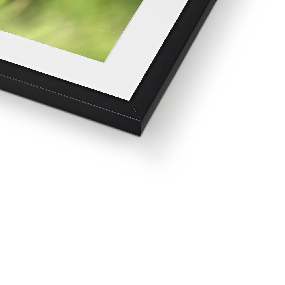 "Triplets" Framed & Mounted Print