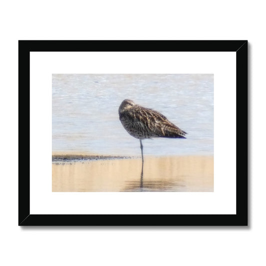 "Sleepy Sandpiper - Photo Art" Framed & Mounted Print