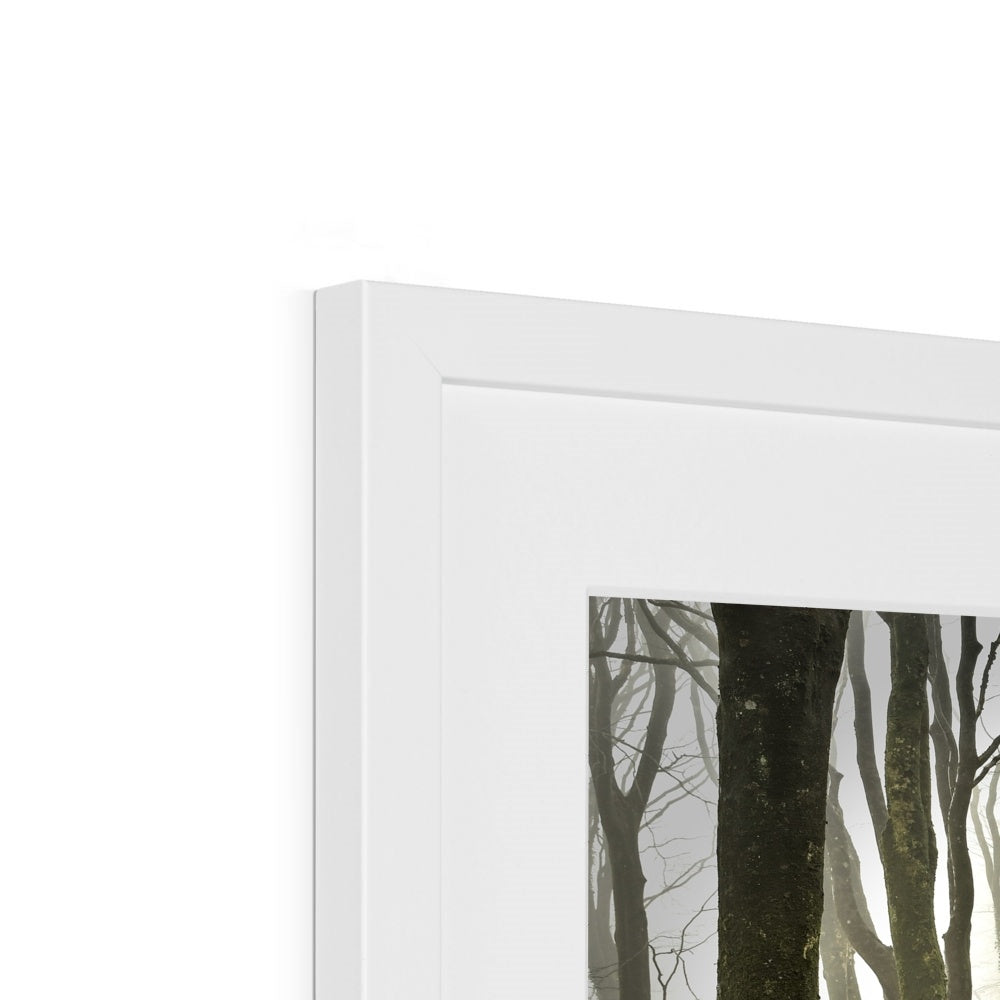 " Misty Trees #2 " Framed & Mounted Print