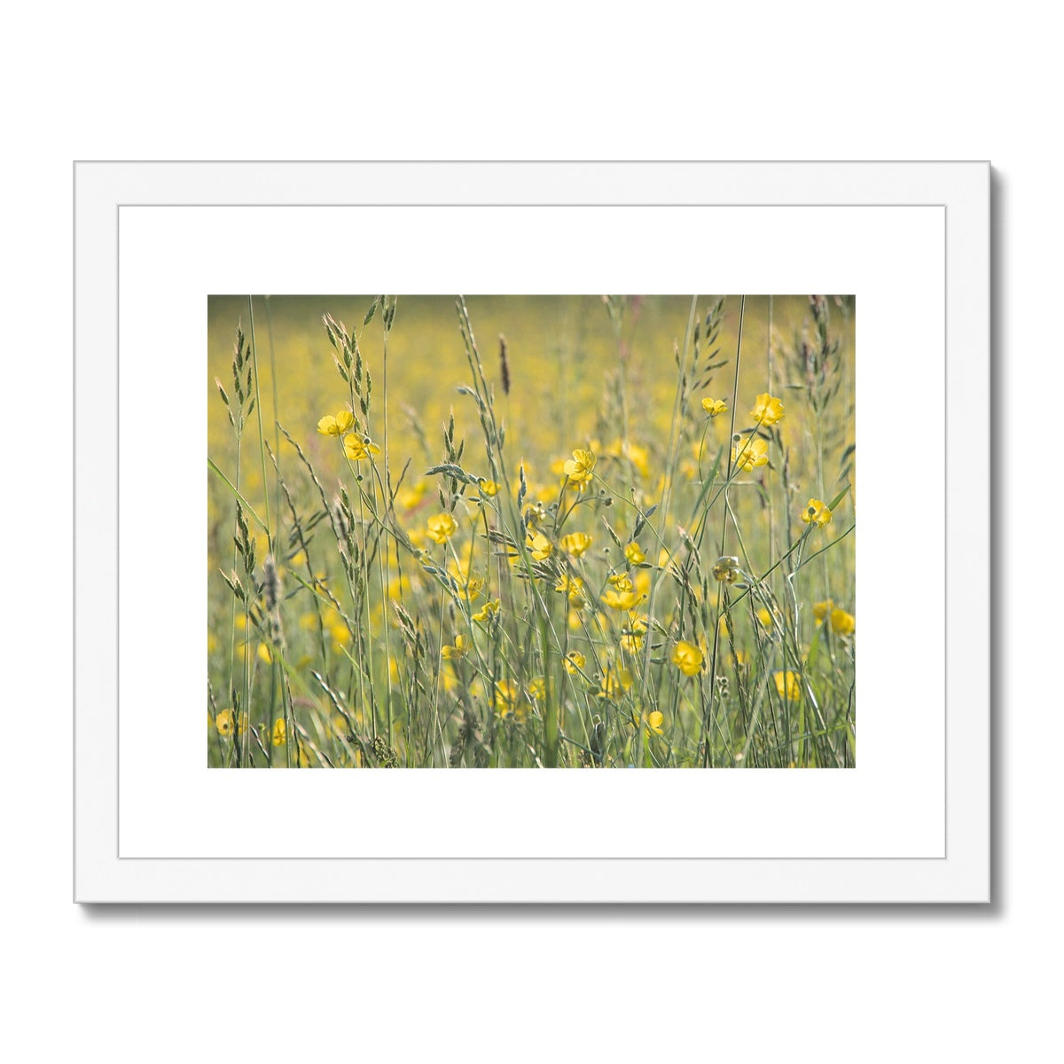 "The Long Grass" Framed & Mounted Print