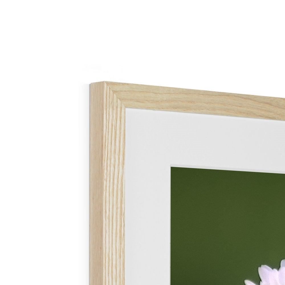 "Triplets" Framed & Mounted Print