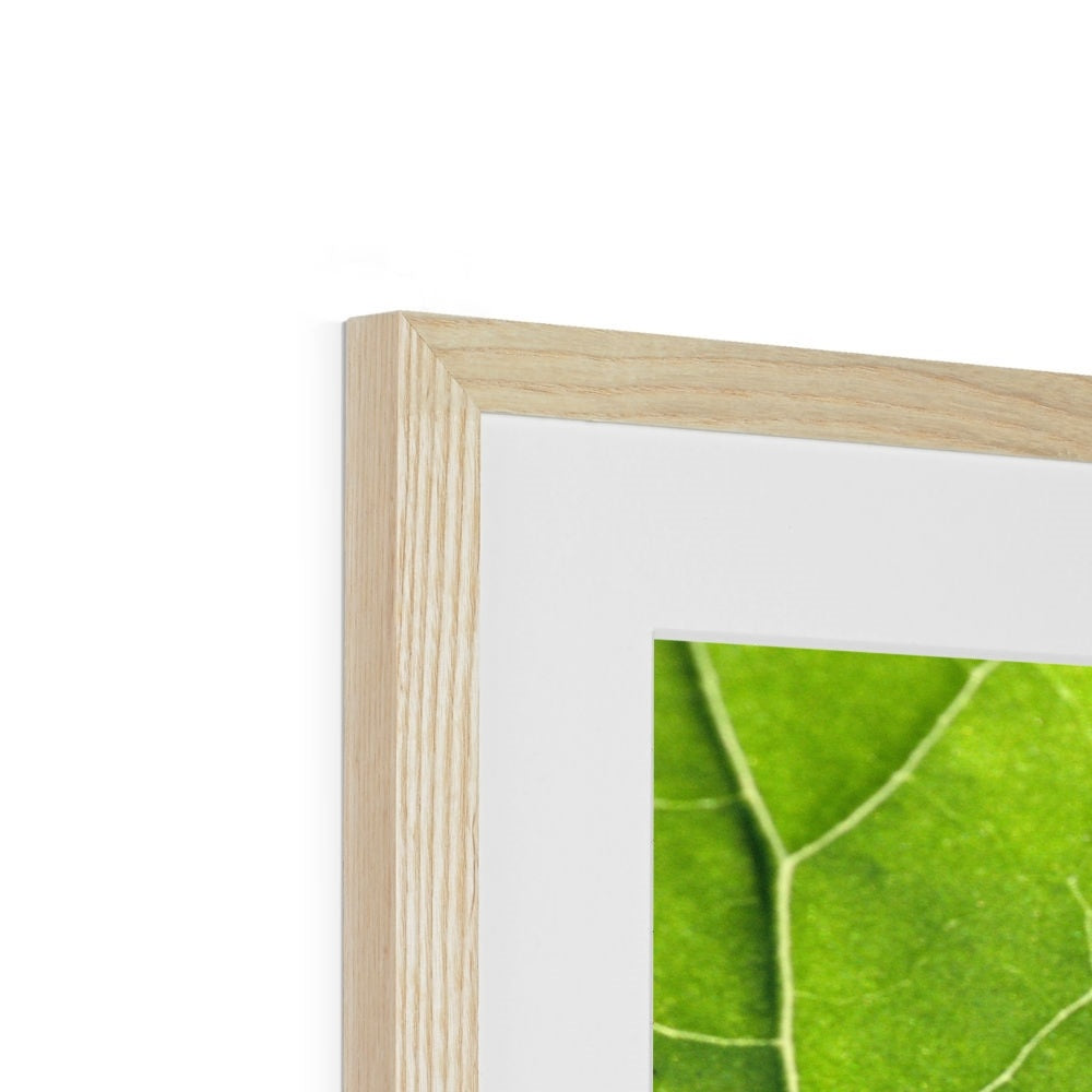 "Veins" Framed & Mounted Print