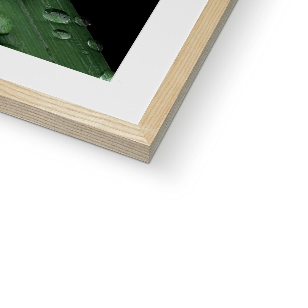 "Crossroads" Framed & Mounted Print