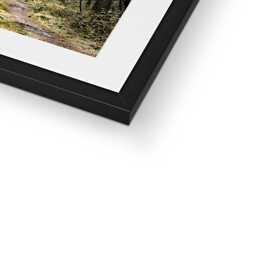 "Wetlands" Framed & Mounted Print