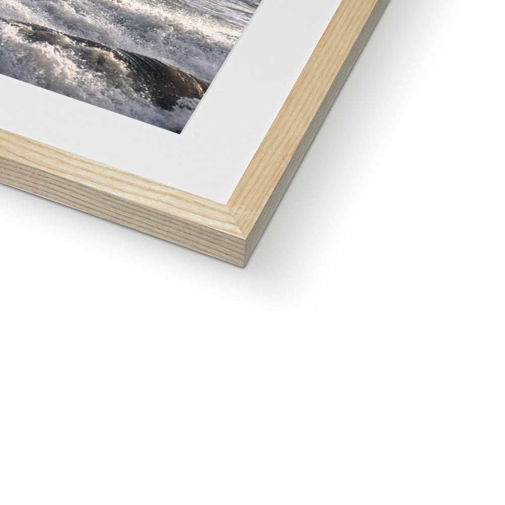 "Safe Harbour" Framed & Mounted Print