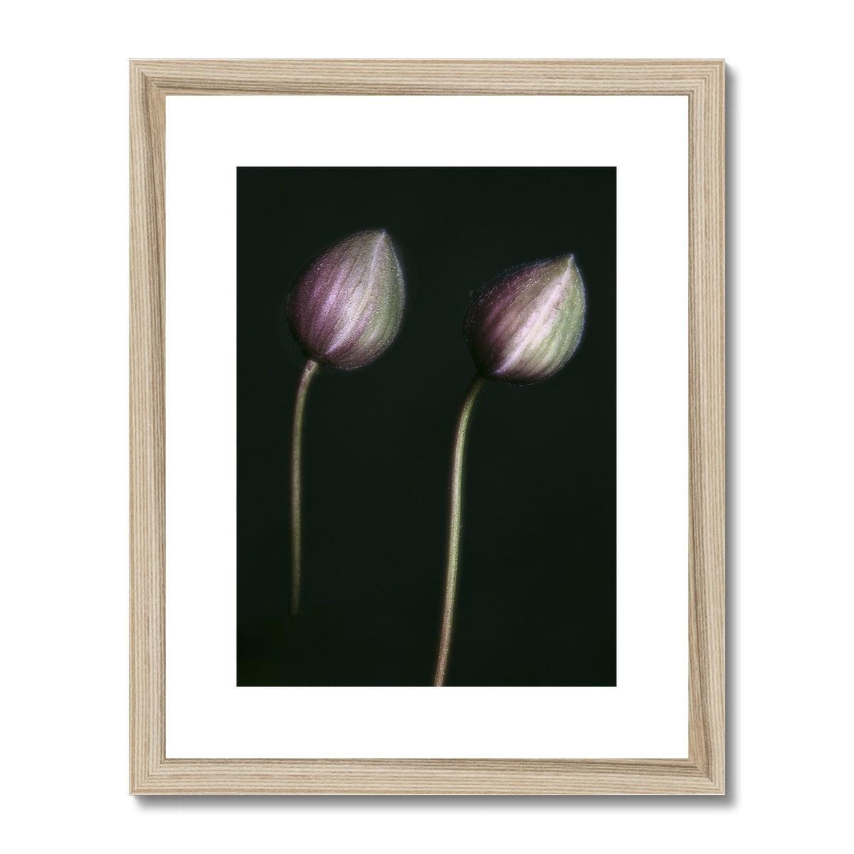 "The Bowed" Framed & Mounted Print