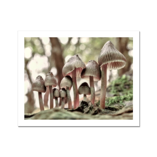 "Family Portrait" Fine Art Print