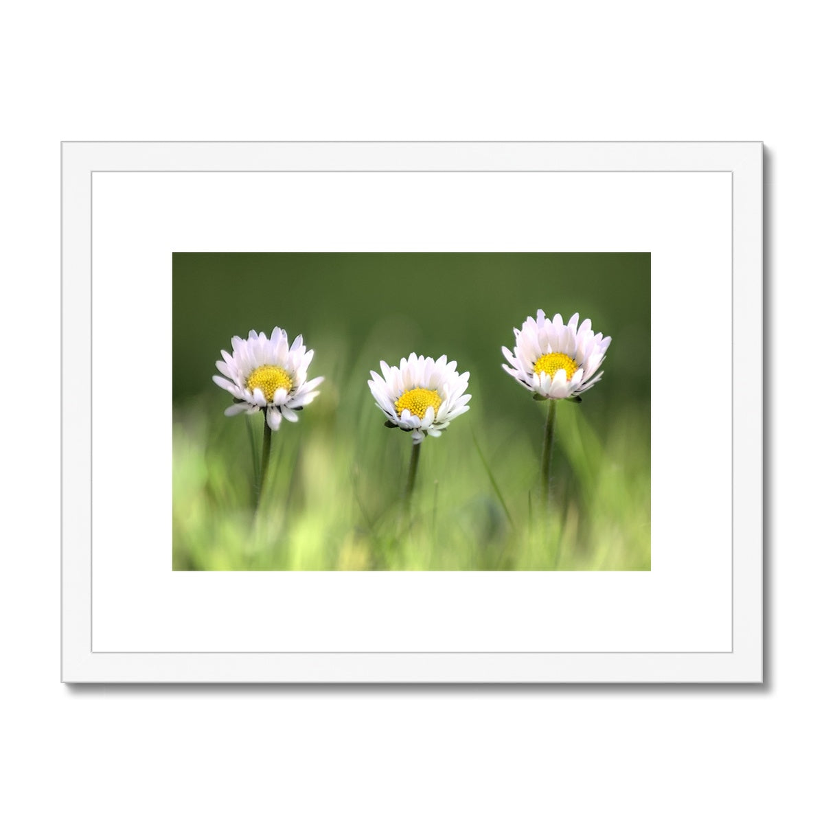 "Triplets" Framed & Mounted Print