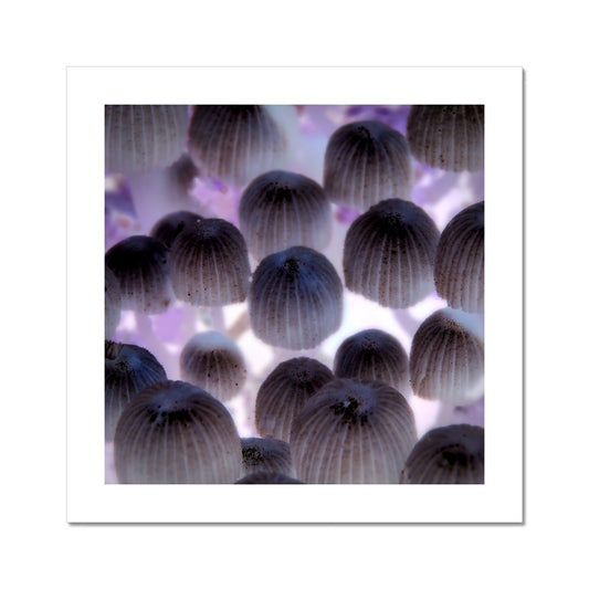 "Shroom Disco" Fine Art Print