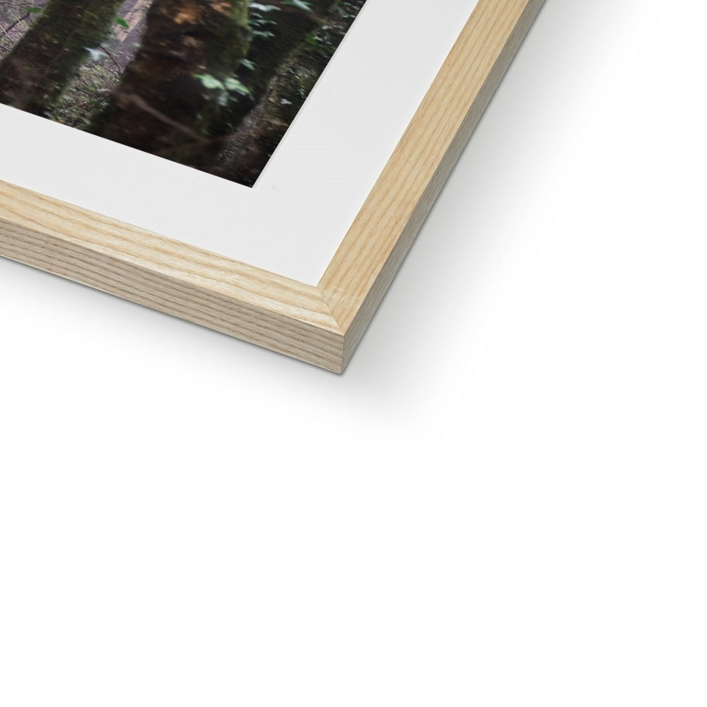 " Misty Trees #1 " Framed & Mounted Print