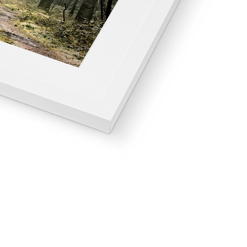 "Wetlands" Framed & Mounted Print