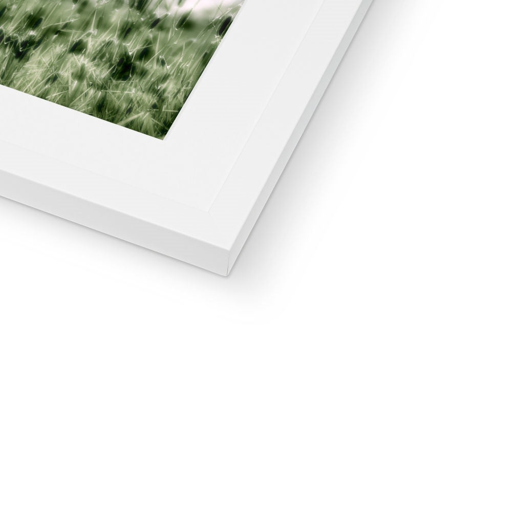 "The Green Grass" Framed & Mounted Print