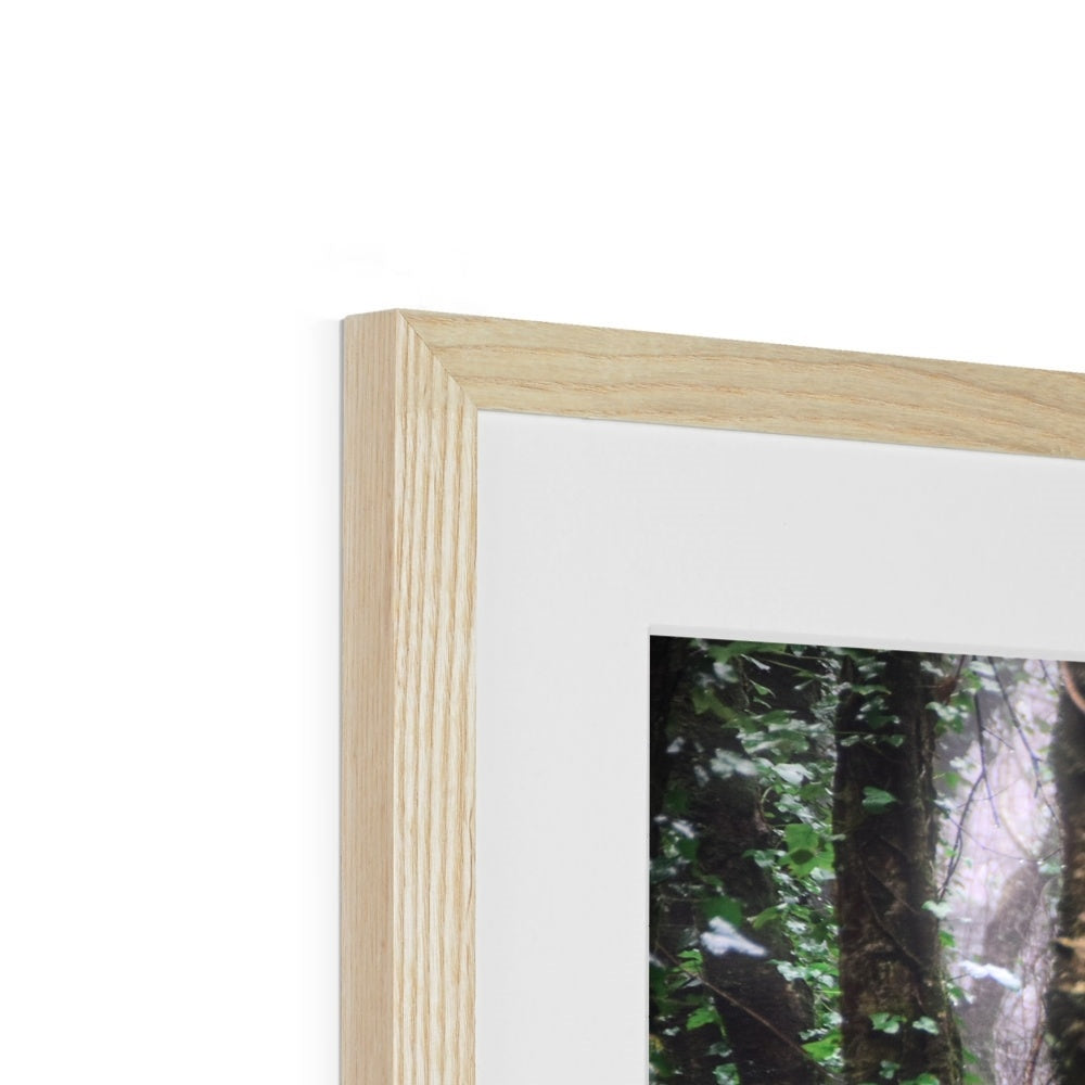 " Misty Trees #1 " Framed & Mounted Print