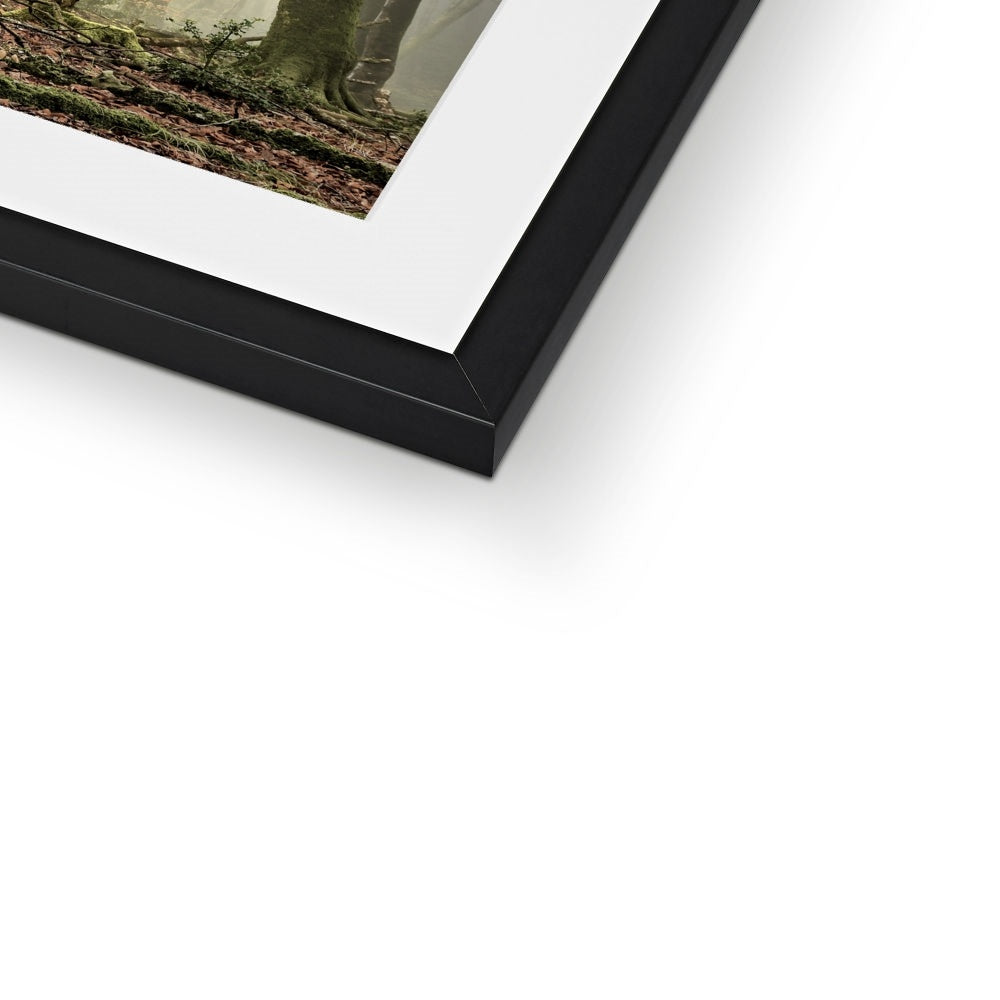 " Misty Trees #2 " Framed & Mounted Print