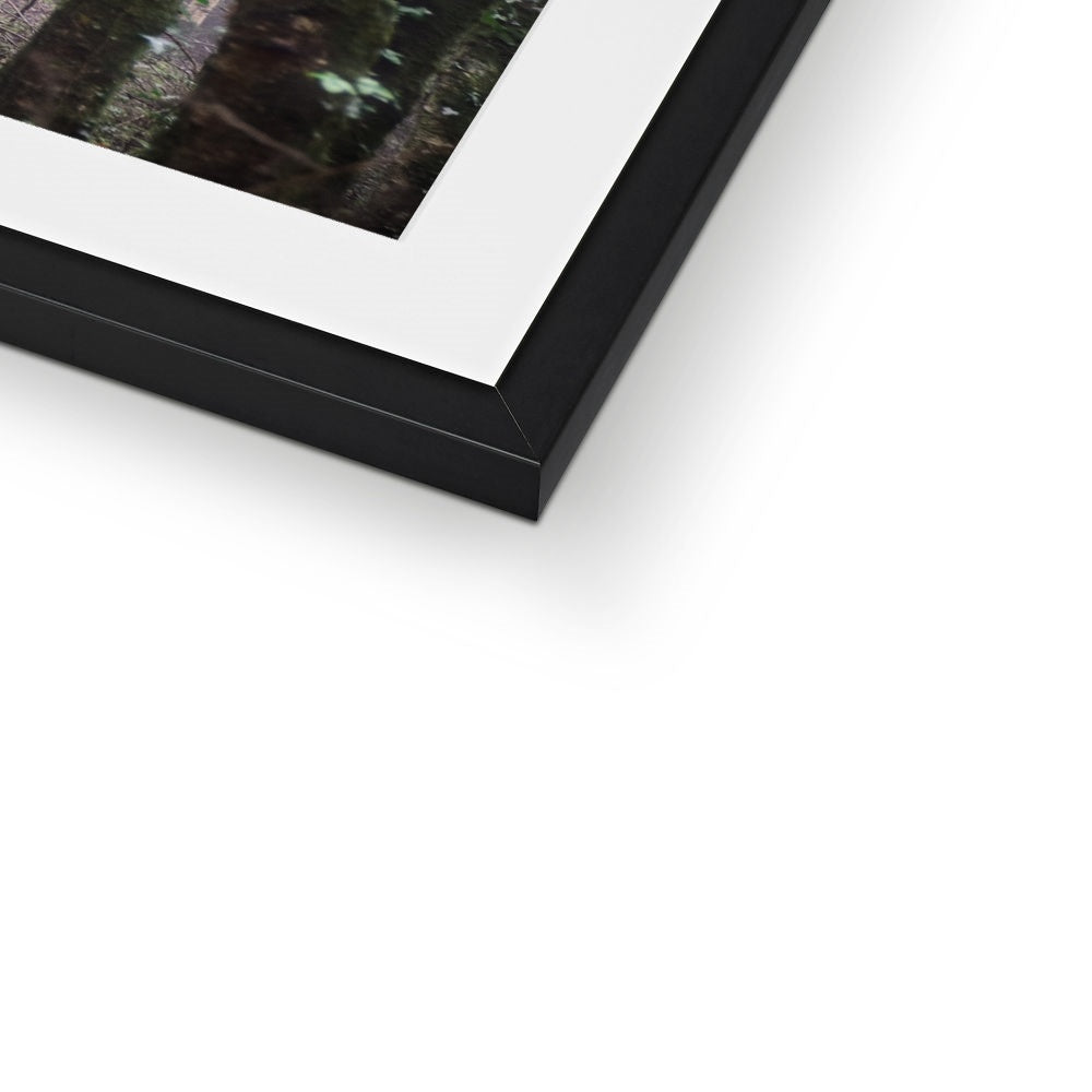 " Misty Trees #1 " Framed & Mounted Print