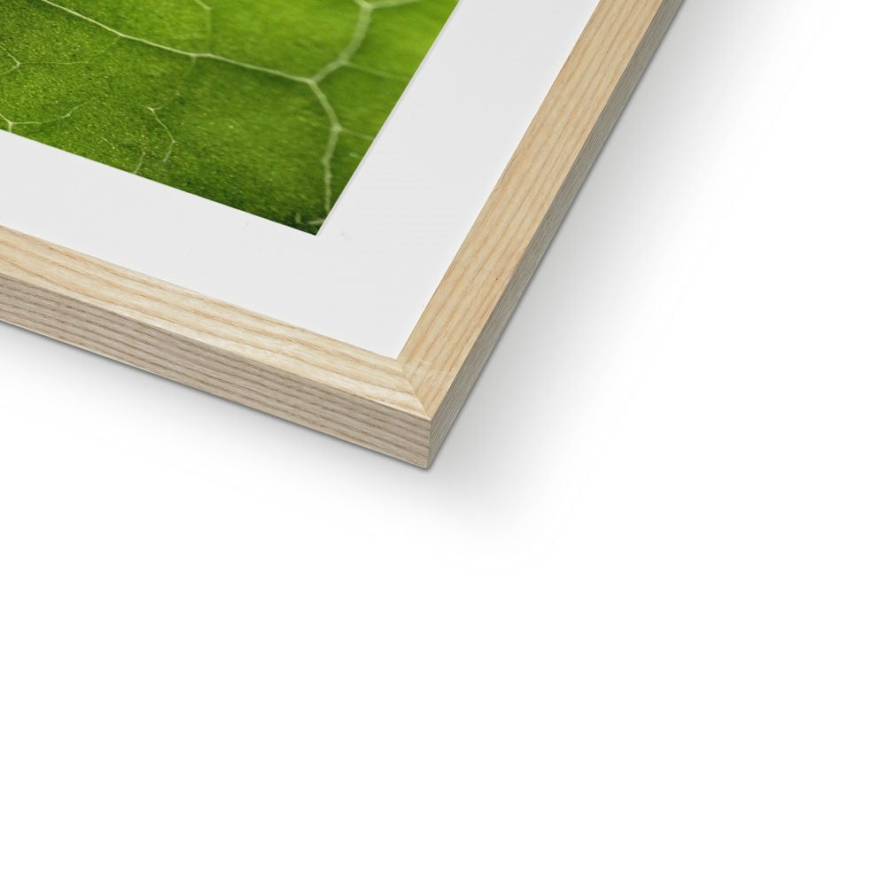 "Veins" Framed & Mounted Print