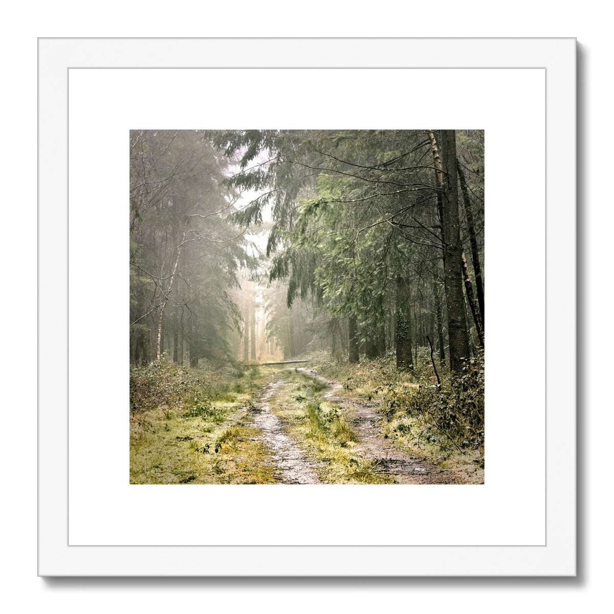 "Wetlands" Framed & Mounted Print