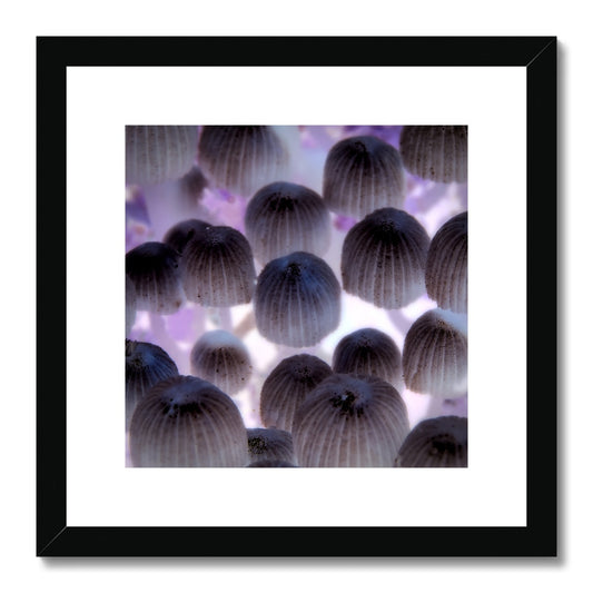 "Shroom Disco" Framed & Mounted Print