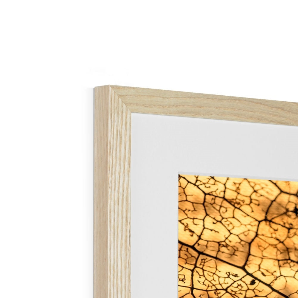 " Leaf upon Leaf " Framed & Mounted Print