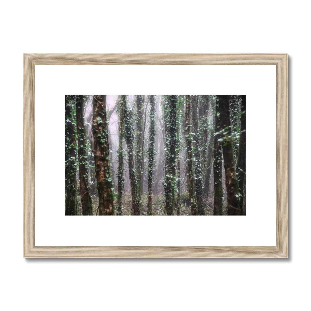" Misty Trees #1 " Framed & Mounted Print